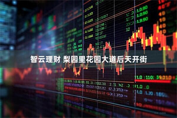 智云理财 梨园里花园大道后天开街