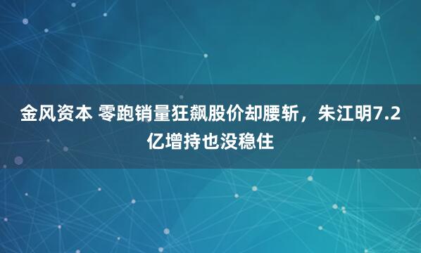 金风资本 零跑销量狂飙股价却腰斩，朱江明7.2亿增持也没稳住